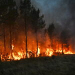 Wildfires in France drive 250,000 people from their homes and creep toward wine city of Bordeaux